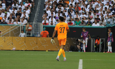bounou al hilal
