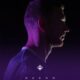 dzeko fiorentina