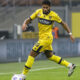 parma sohm fiorentina