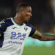Tchatchoua hellas verona
