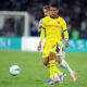 giovane hellas verona, Napoli
