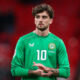Troy Parrott irlanda