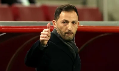 Domenico Tedesco