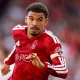 Tottenham-Gibbs-White, ora cambia tutto: Forest senza clausola
